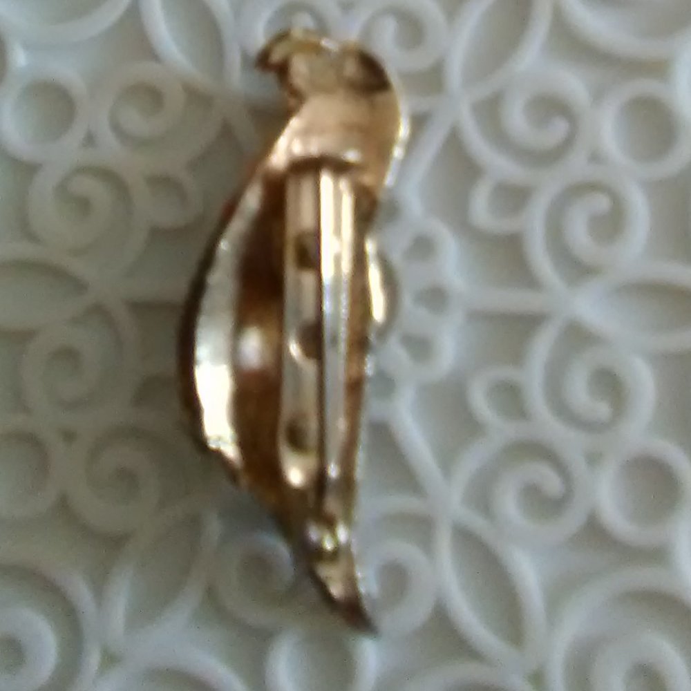 Parrot Pin - Picture 5 of 5